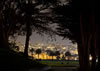Pacific Heights, San Francisco (#52D1592)