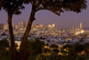 Sunset view from Delores Park, San Francisco (#5D3726)
